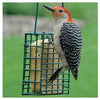 Suet Cage Feeder