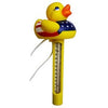 Duck Pool Thermometer