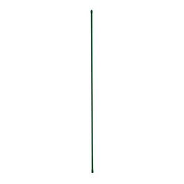 Sturdy Plant Stake, Plastic-Coated Steel, 6-Ft.