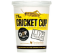 DMF Bait Live Crickets (50-ct)