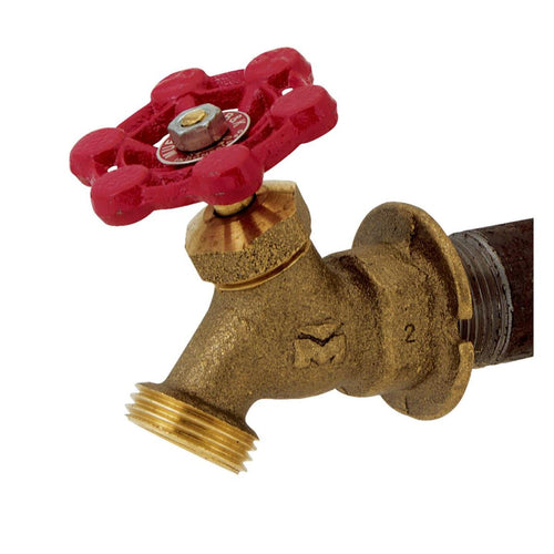 ProLine 3/4 In. FIPS x 3/4 In. MHT Brass Sillcock