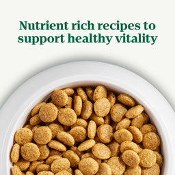 Nutro Natural Choice Adult Large Breed Dry Dog Food, Chicken and Brown Rice Recipe