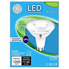 LED Flood/Security Bulb, Par30, Daylight, Long Neck, 1000 Lumens, 12-Watt